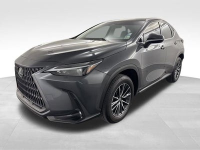 2025 Lexus NX 250 Premium