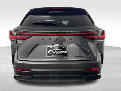 2025 Lexus NX 250 Premium