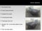 2026 Genesis GV80 3.5T Prestige Black AWD