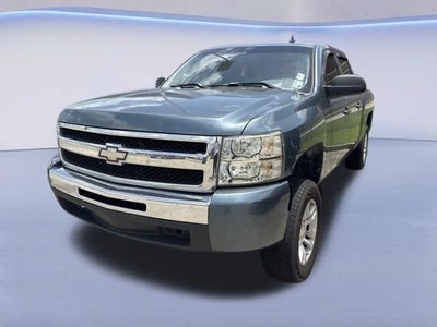 2010 Chevrolet Silverado 1500 LS