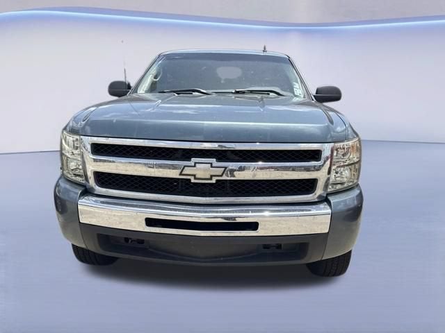 2010 Chevrolet Silverado 1500 LS