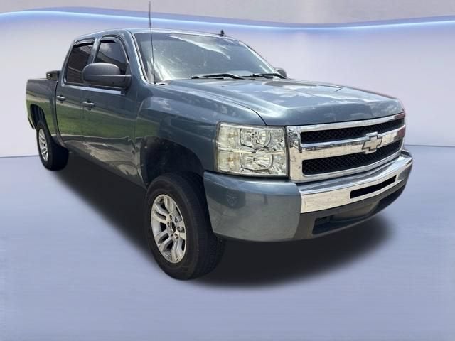 2010 Chevrolet Silverado 1500 LS