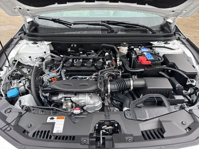 2025 Honda Accord 1.5T LX