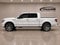 2013 Ford F-150 Platinum
